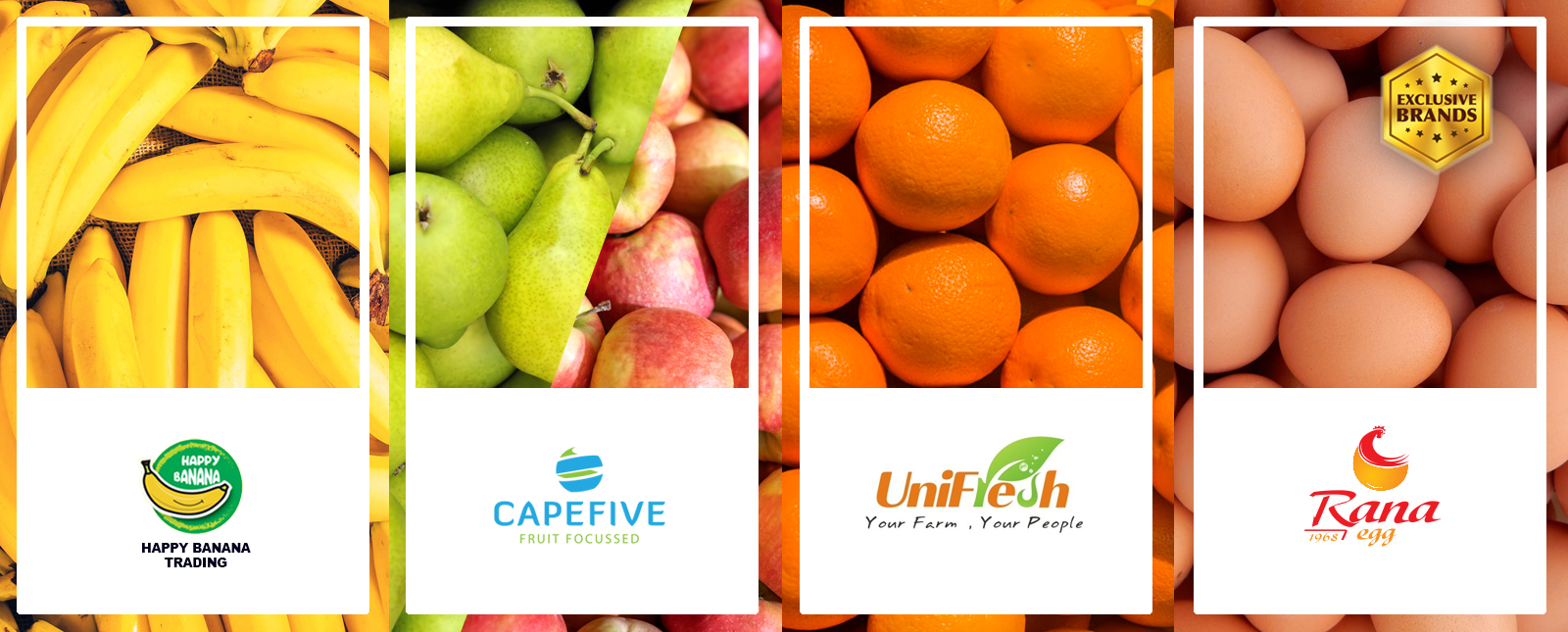 SUHOL AL FAYHA Your Trusted Fresh Fruits & Vegetables Distibutor